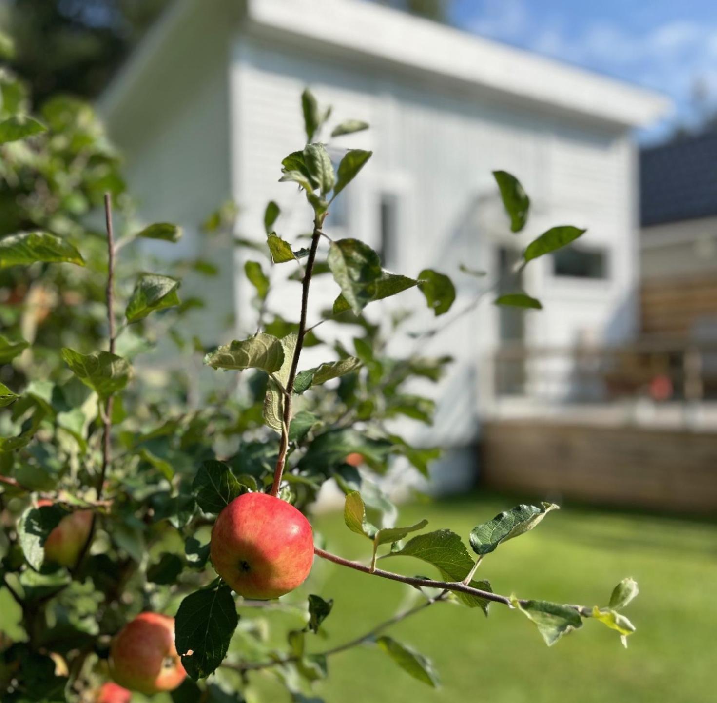 Lilla Huset Bed & Breakfast - Countryside Guesthouse, Free Parking Orebro Exterior photo